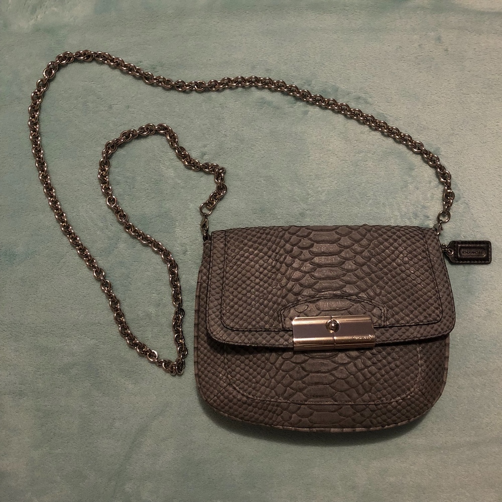 AUTHENTIC Coach silver cross body with long chain